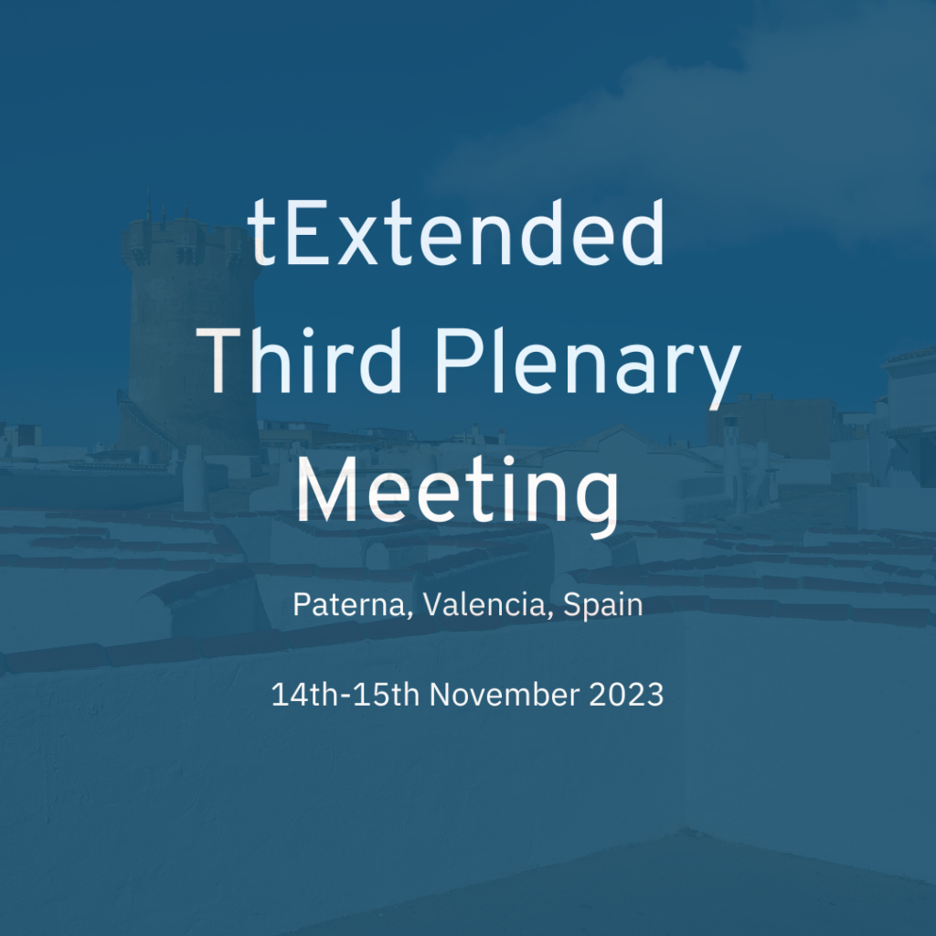 tExtended 3rd plenary meeting: November 2023