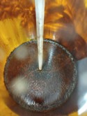 Picture12